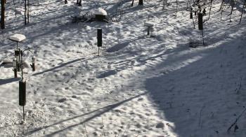 Weather camera view of Cincinnati Nature Center.