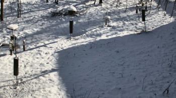 Weather camera view of Cincinnati Nature Center.