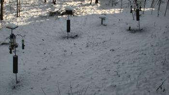 Weather camera view of Cincinnati Nature Center.