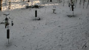 Weather camera view of Cincinnati Nature Center.