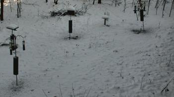 Weather camera view of Cincinnati Nature Center.