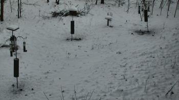 Weather camera view of Cincinnati Nature Center.