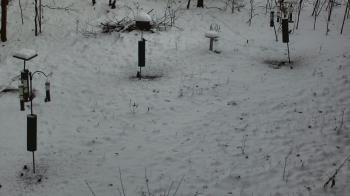 Weather camera view of Cincinnati Nature Center.