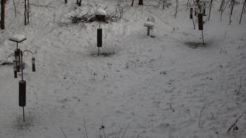 Weather camera view of Cincinnati Nature Center.