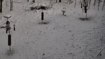 Weather camera view of Cincinnati Nature Center.