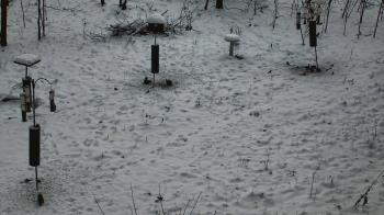 Weather camera view of Cincinnati Nature Center.