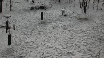 Weather camera view of Cincinnati Nature Center.