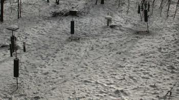 Weather camera view of Cincinnati Nature Center.