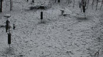 Weather camera view of Cincinnati Nature Center.