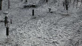 Weather camera view of Cincinnati Nature Center.