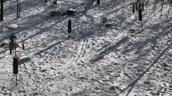 Weather camera view of Cincinnati Nature Center.