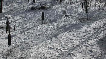 Weather camera view of Cincinnati Nature Center.