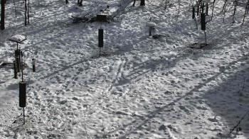 Weather camera view of Cincinnati Nature Center.