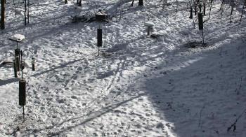 Weather camera view of Cincinnati Nature Center.