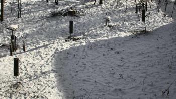 Weather camera view of Cincinnati Nature Center.
