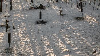Weather camera view of Cincinnati Nature Center.