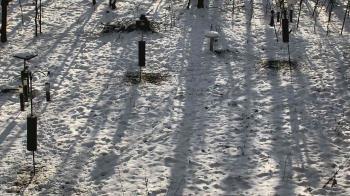Weather camera view of Cincinnati Nature Center.