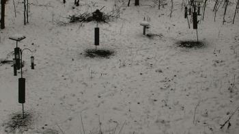 Weather camera view of Cincinnati Nature Center.