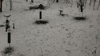 Weather camera view of Cincinnati Nature Center.