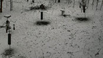 Weather camera view of Cincinnati Nature Center.