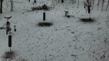 Weather camera view of Cincinnati Nature Center.