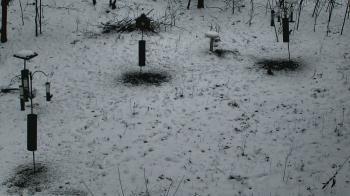 Weather camera view of Cincinnati Nature Center.