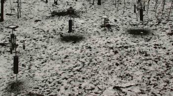 Weather camera view of Cincinnati Nature Center.