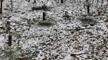 Weather camera view of Cincinnati Nature Center.