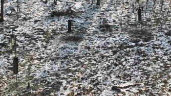 Weather camera view of Cincinnati Nature Center.