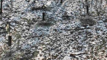 Weather camera view of Cincinnati Nature Center.