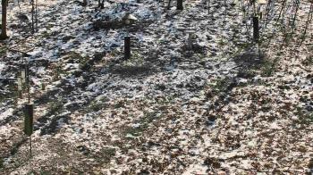 Weather camera view of Cincinnati Nature Center.