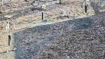 Weather camera view of Cincinnati Nature Center.