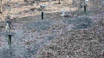 Weather camera view of Cincinnati Nature Center.