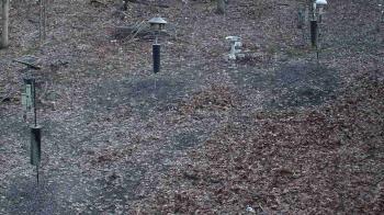 Weather camera view of Cincinnati Nature Center.