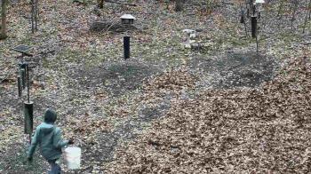 Weather camera view of Cincinnati Nature Center.