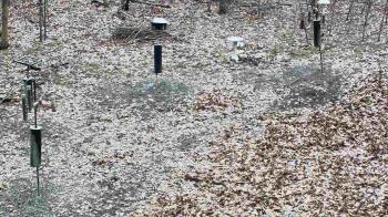 Weather camera view of Cincinnati Nature Center.