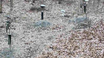 Weather camera view of Cincinnati Nature Center.