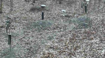 Weather camera view of Cincinnati Nature Center.