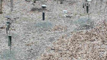 Weather camera view of Cincinnati Nature Center.