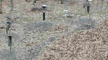 Weather camera view of Cincinnati Nature Center.