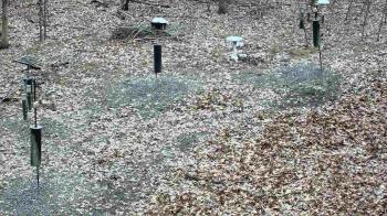 Weather camera view of Cincinnati Nature Center.