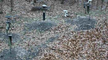 Weather camera view of Cincinnati Nature Center.