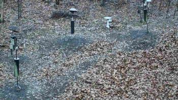 Weather camera view of Cincinnati Nature Center.