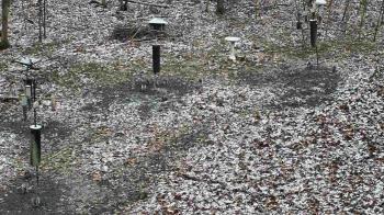 Weather camera view of Cincinnati Nature Center.