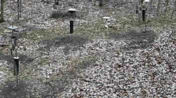 Weather camera view of Cincinnati Nature Center.