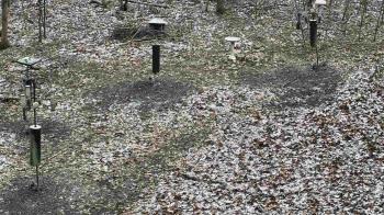 Weather camera view of Cincinnati Nature Center.