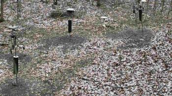 Weather camera view of Cincinnati Nature Center.