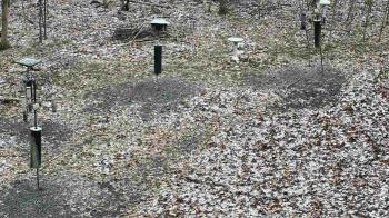 Weather camera view of Cincinnati Nature Center.