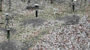 Weather camera view of Cincinnati Nature Center.