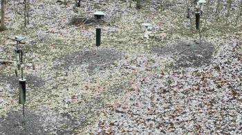 Weather camera view of Cincinnati Nature Center.